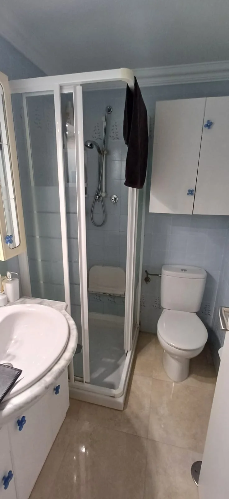 Baño antes de la reforma